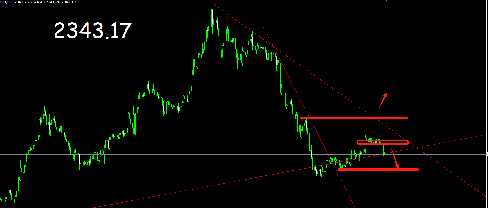 政策面相对偏空 棕榈油短期预计震荡偏弱为主