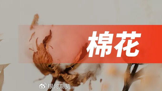 供应充沛商业库存大增 棉花价格弱势运行为主