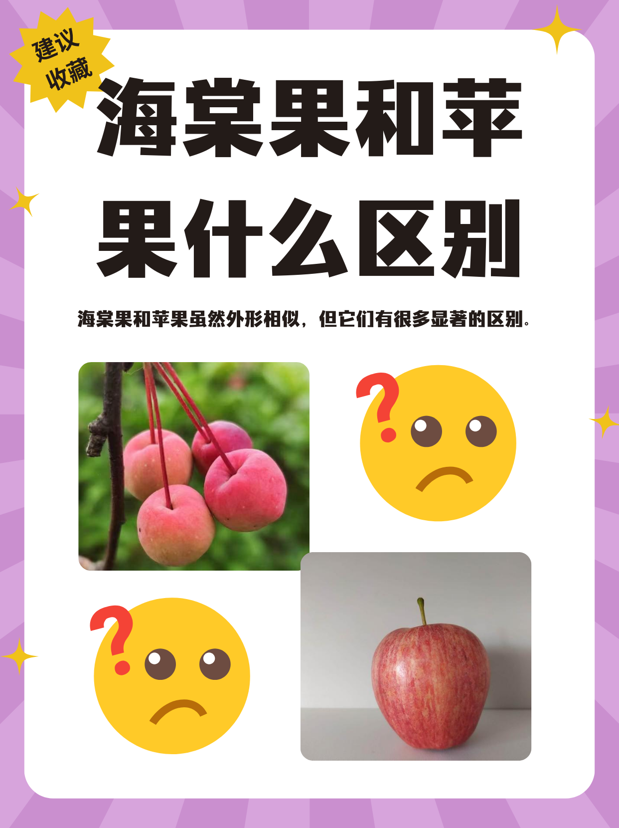 柑橘水果替代性冲击减弱 苹果需求或有一定恢复