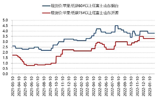 苹果：产区补货 交易量增多