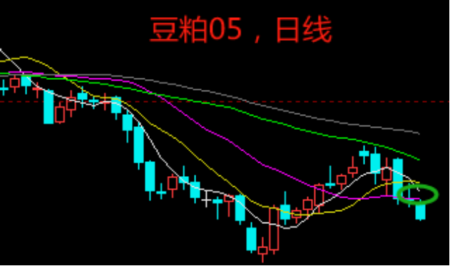 豆粕期货主力本周K线收阳 期价短期或易涨难跌