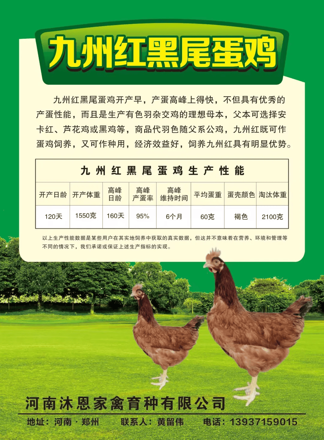 （2025年2月10日）今日鸡蛋期货价格行情最新价格查询