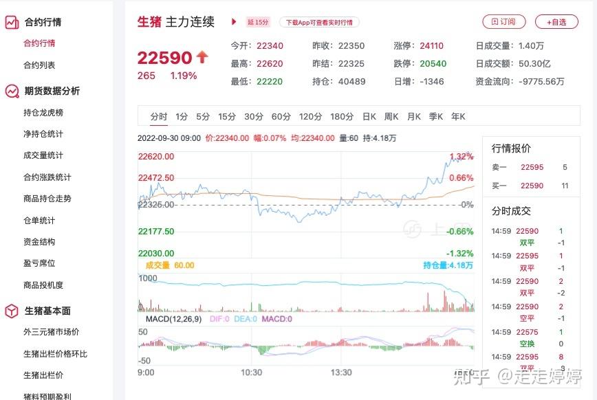 （2025年2月10日）今日生猪期货最新价格查询
