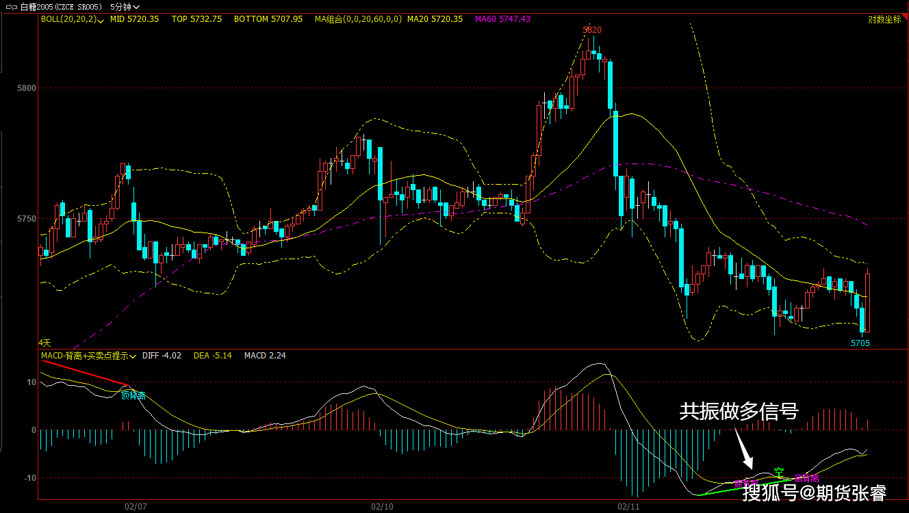 2025年2月11日白糖报价最新价格多少钱