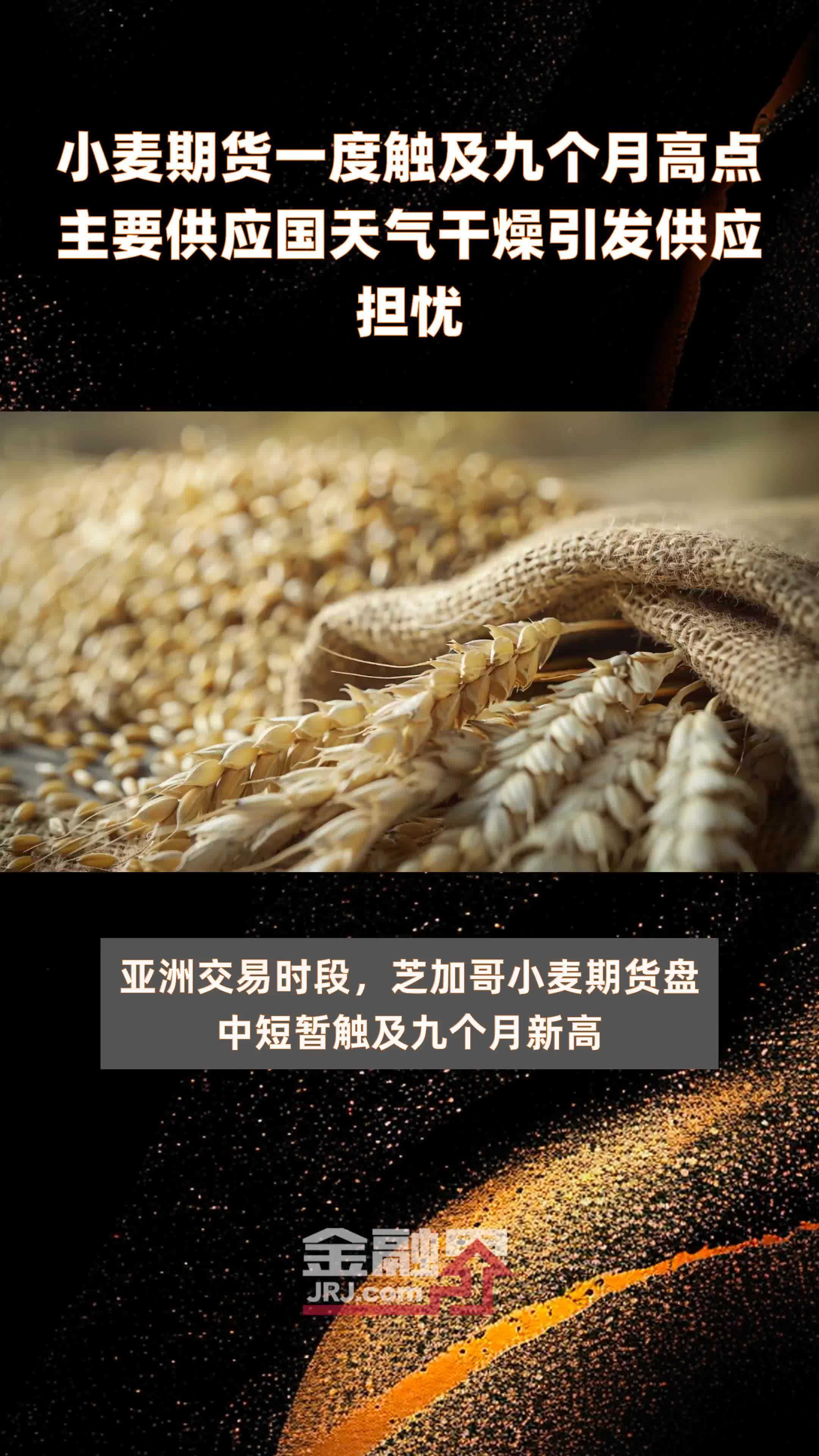 （2025年2月12日）今日小麦期货和美小麦价格行情查询