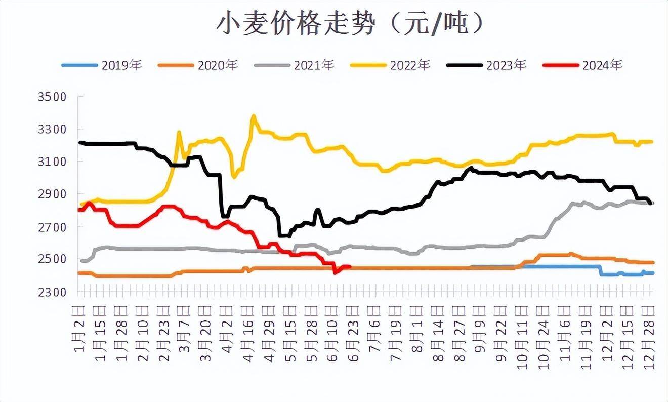 (2025年2月12日)今日小麦期货和美小麦价格行情查询