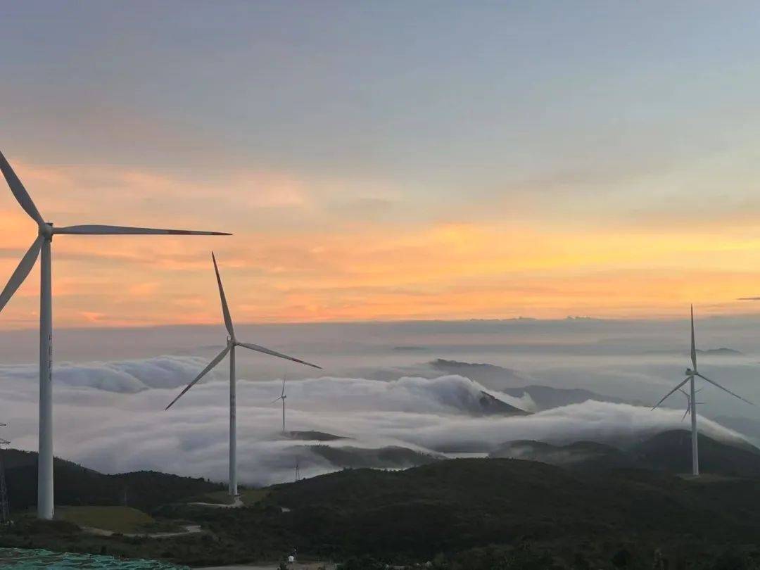 2025年2月14日最新竹炭价格行情走势查询