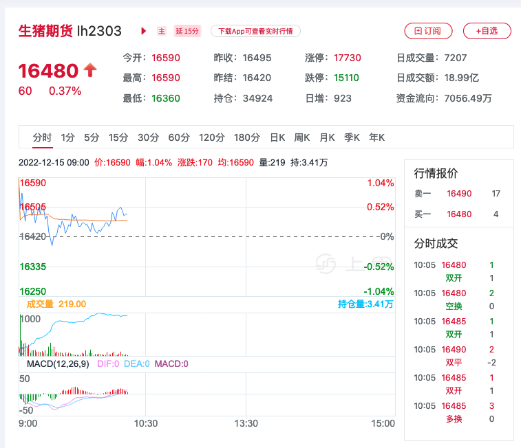 （2025年2月17日）今日生猪期货最新价格查询