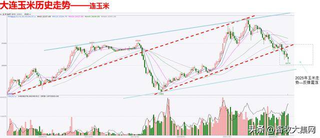 （2025年2月17日）今日玉米期货和美玉米最新价格查询