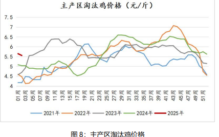 鸡蛋期价大幅下跌 今年鸡蛋价格整体趋势或偏弱