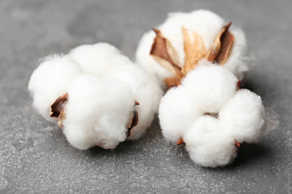 2月18日收盘棉花期货资金流入1.59亿元