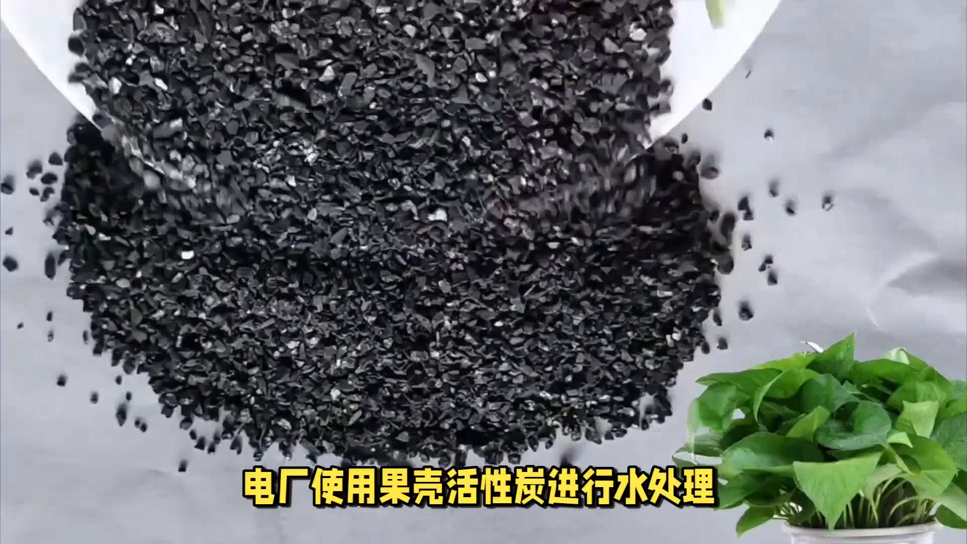 2025年2月19日果壳活性炭报价最新价格多少钱