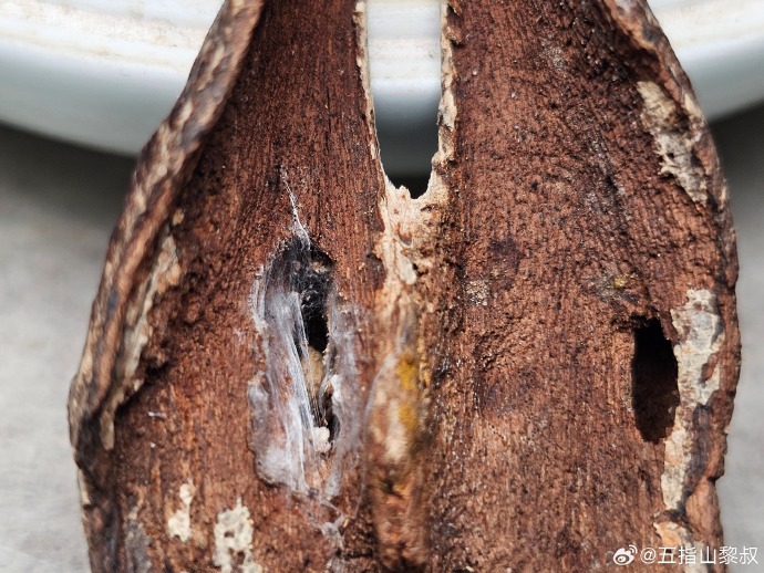 2025年2月19日今日松香价格最新行情消息