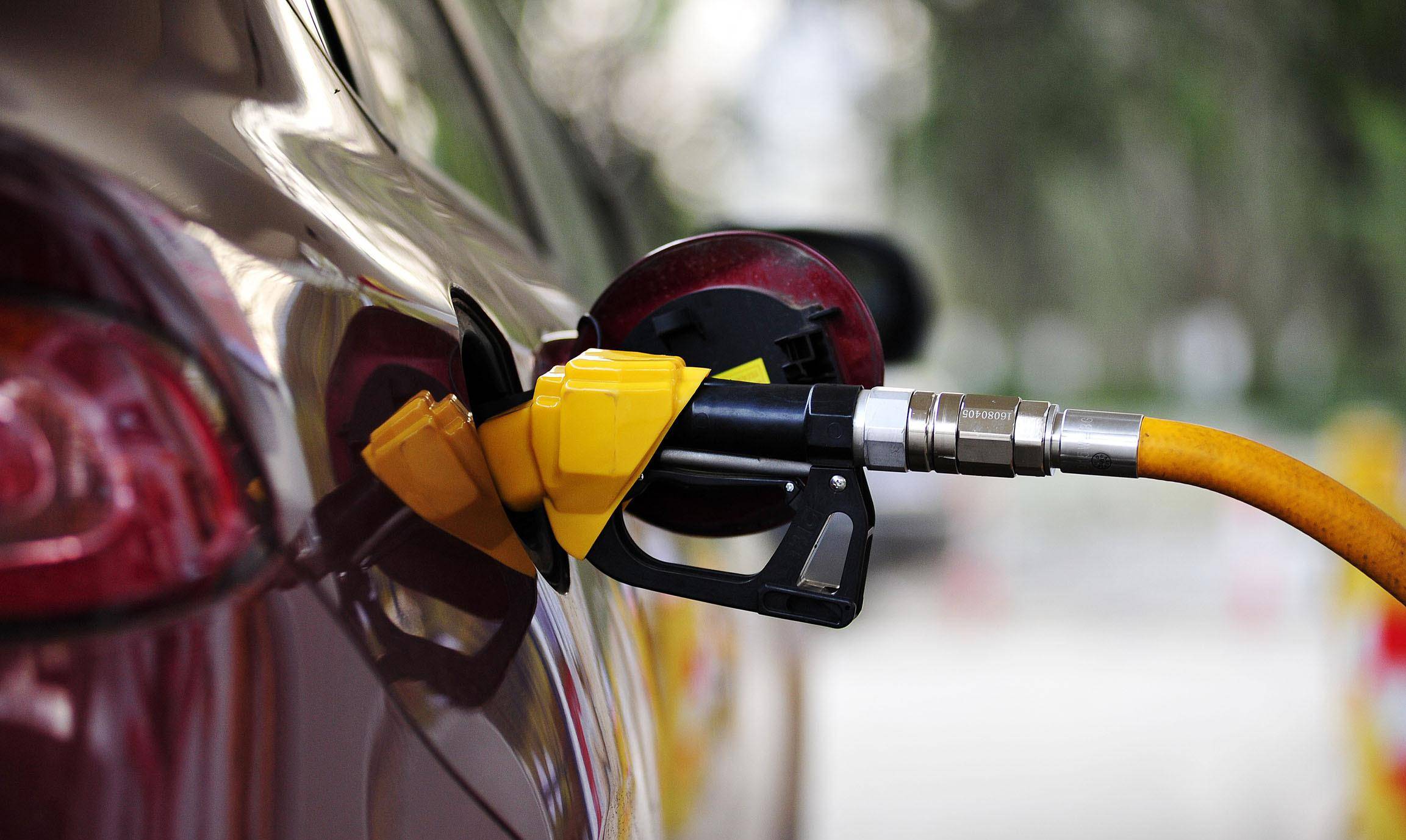 2月20日收盘豆油期货资金流入1.45亿元