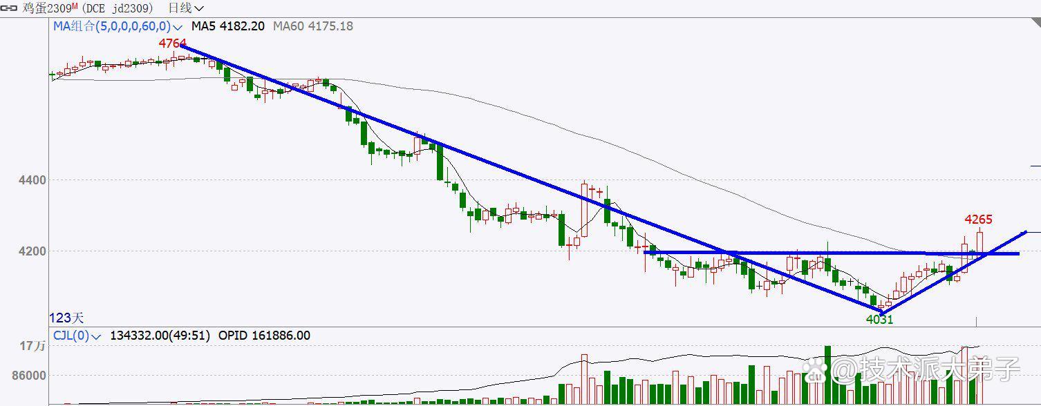 2月20日生猪期货持仓龙虎榜分析：生猪期货后市是否能维持上行趋势