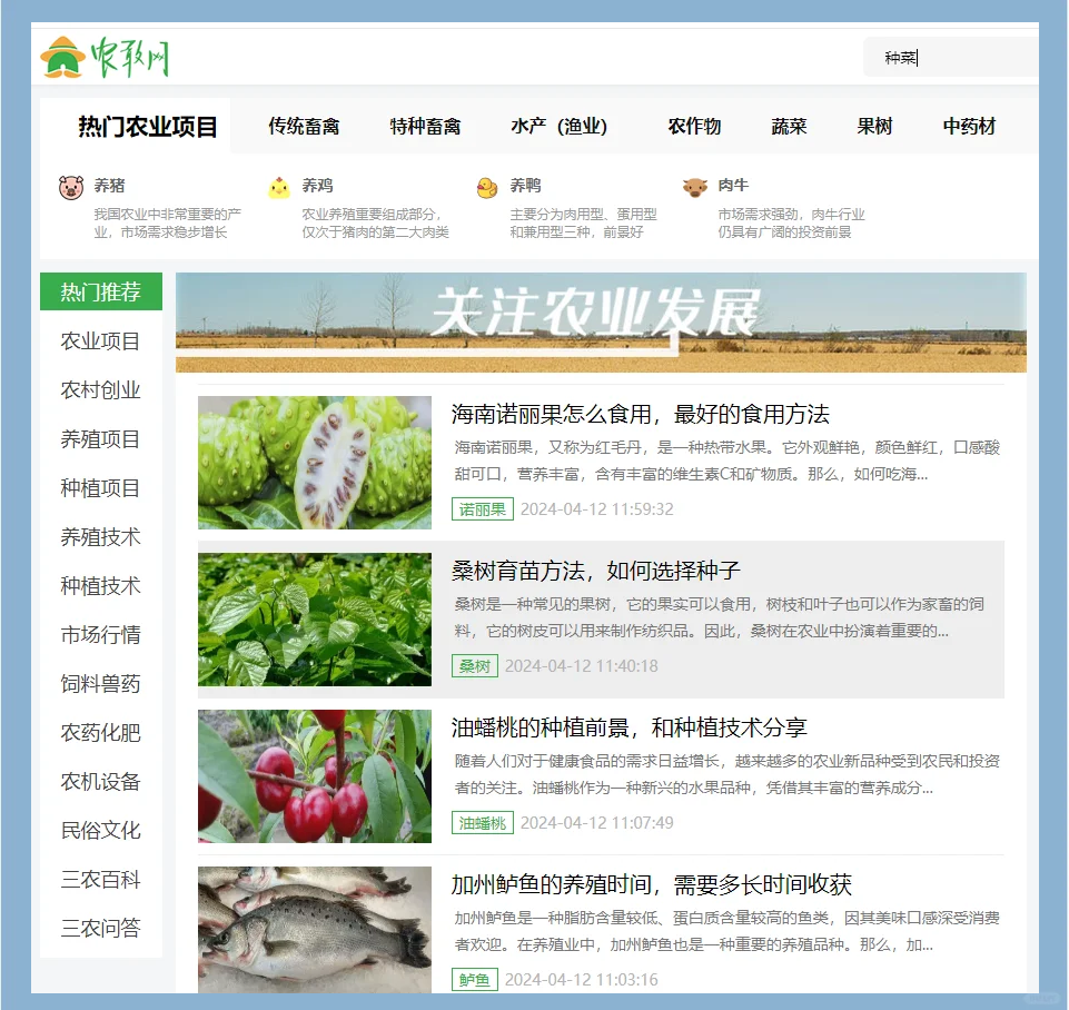 （2025年2月21日）今日小麦期货和美小麦价格行情查询