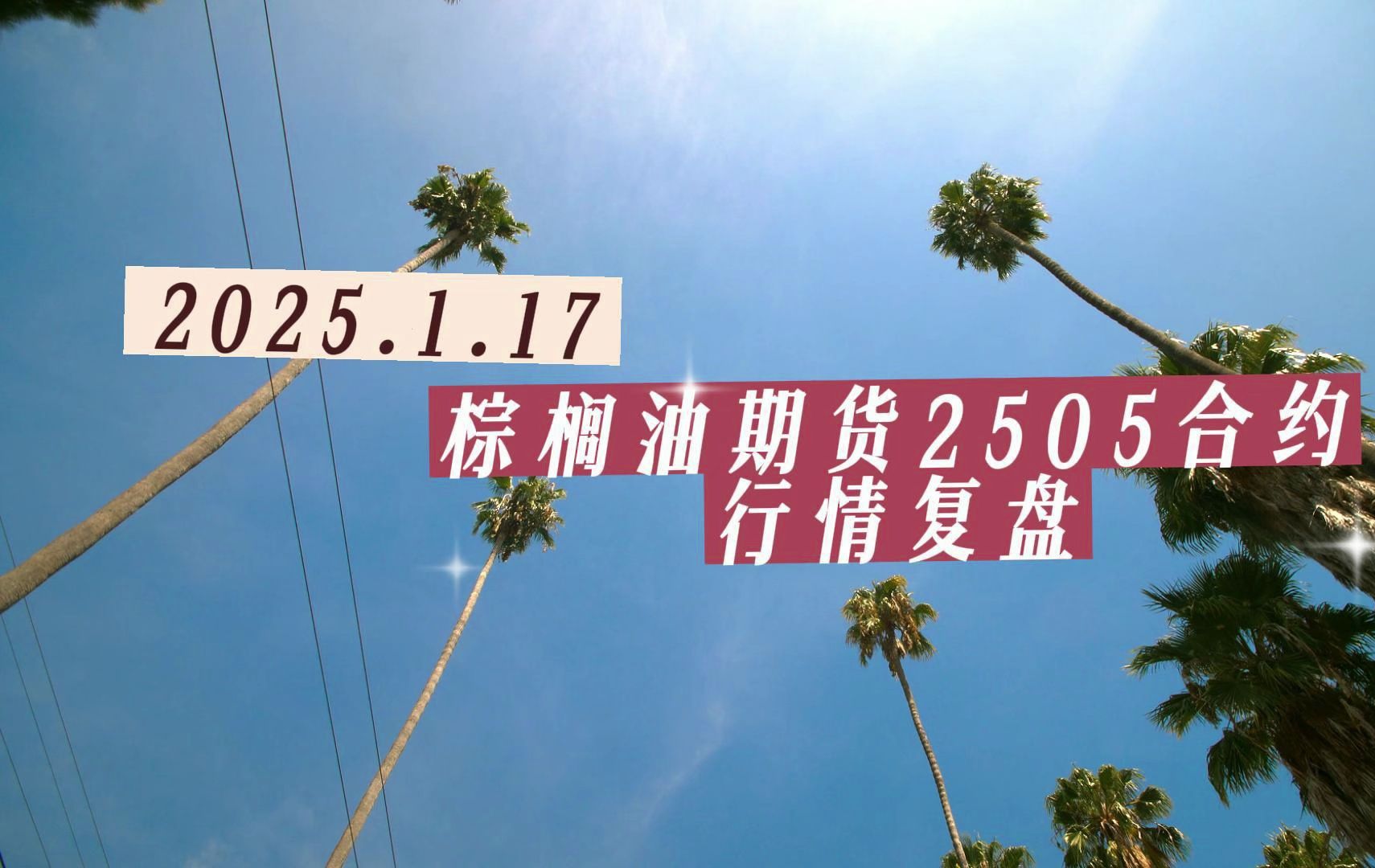 2025年2月21日今日棕榈油价格最新行情走势