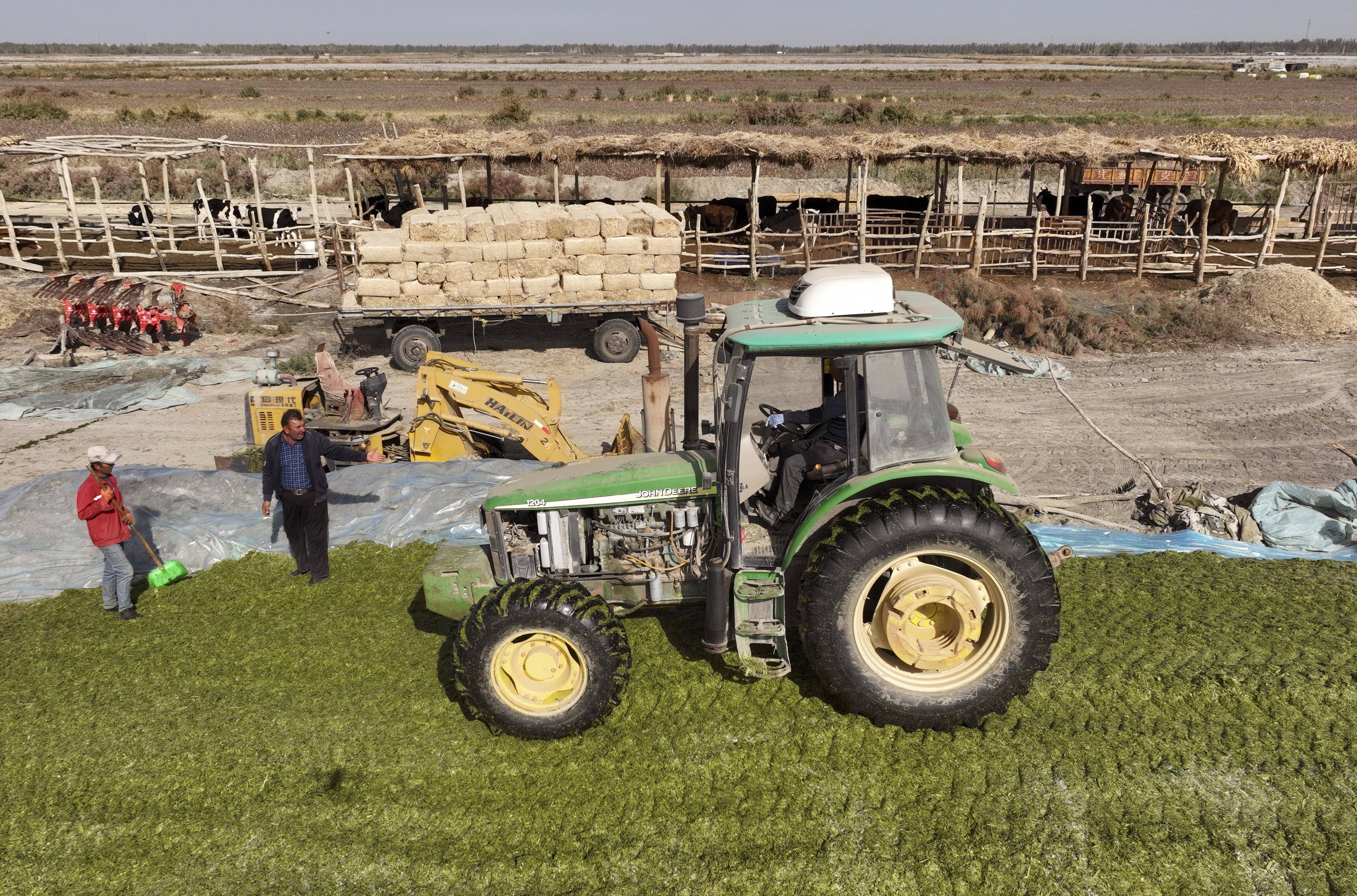 2025年2月24日今日现货棉花价格最新报价多少钱一吨