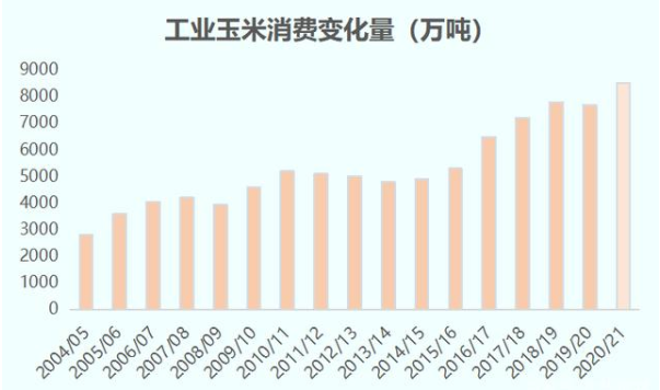 在国内粮食政策的不断支持下迎来反弹 玉米小幅回调