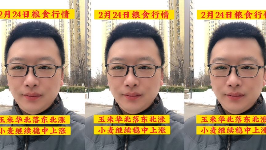 在国内粮食政策的不断支持下迎来反弹 玉米小幅回调