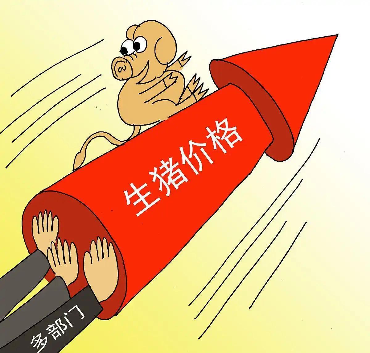 生猪:供需趋于宽松 猪价继续磨底