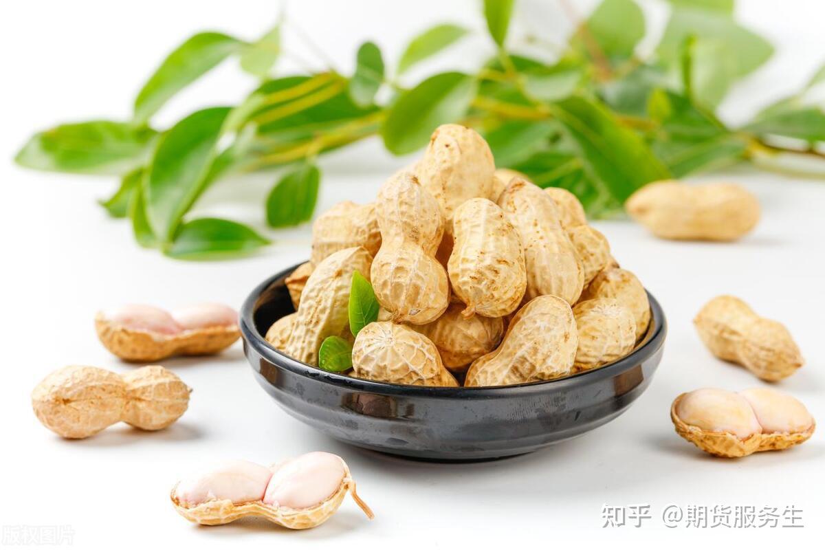 花生：市场价格震荡平稳