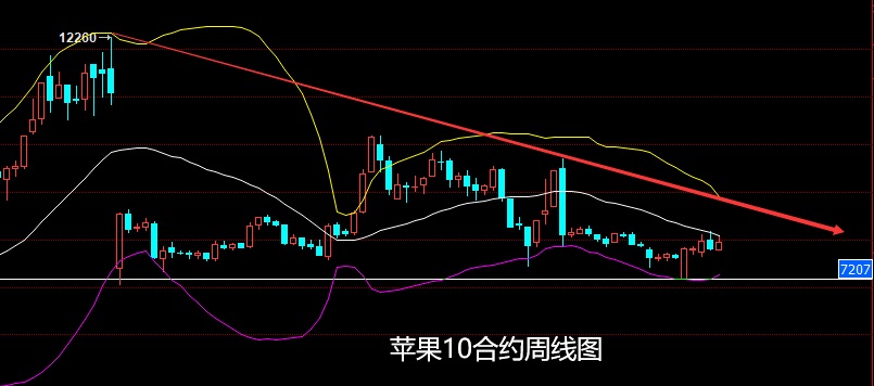 （2025年3月3日）今日苹果期货最新价格查询