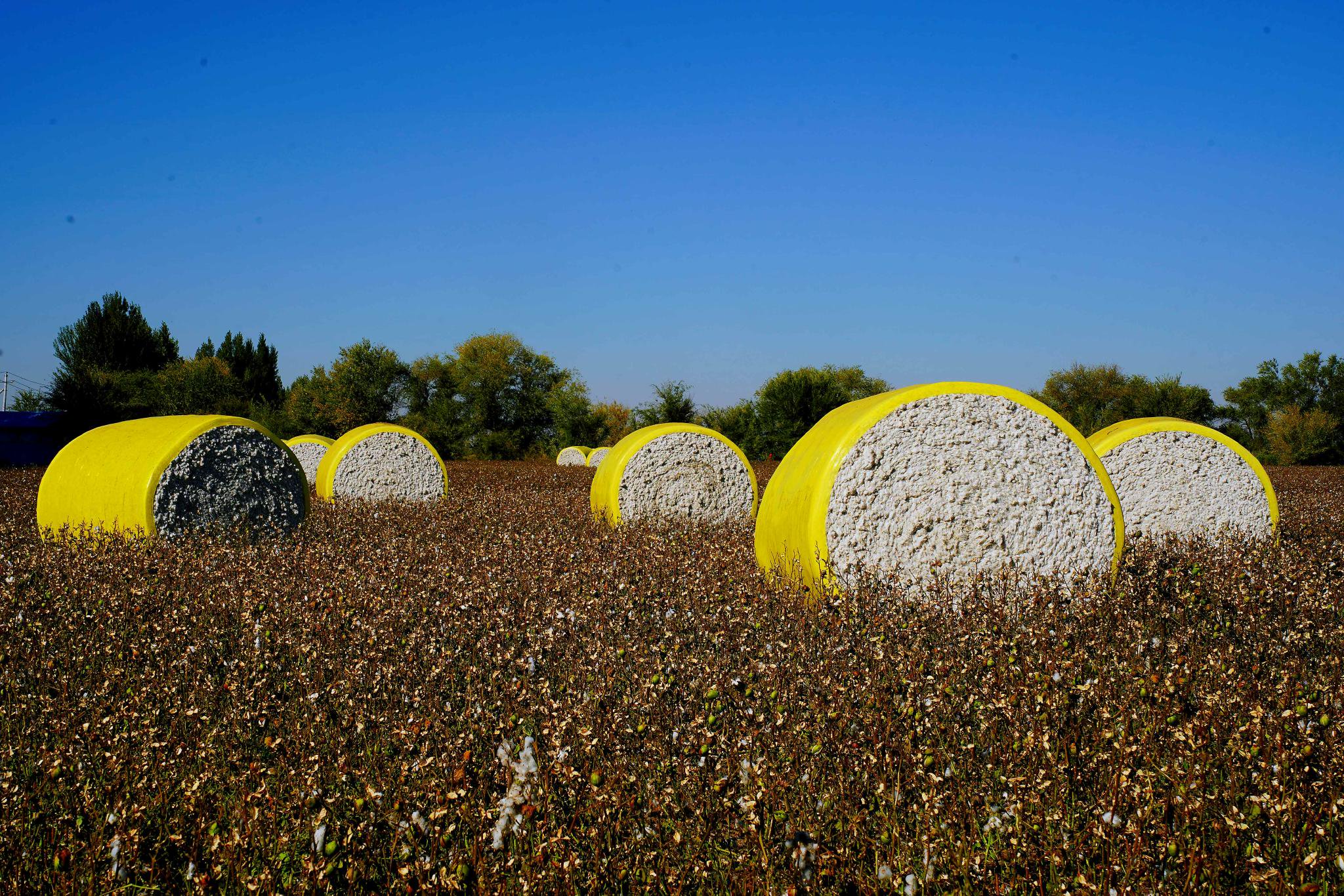 2024年8月10日木质粉末活性炭报价最新价格多少钱