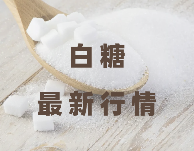 3月3日收盘白糖期货持仓较上日减持9955手