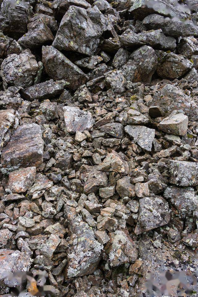 3月3日收盘焦炭期货资金流出4516.51万元