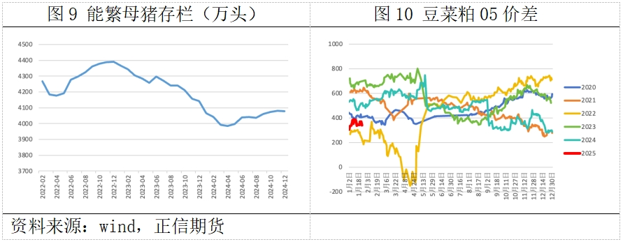 粕类：关税政策影响内外走势 国内豆粕偏强