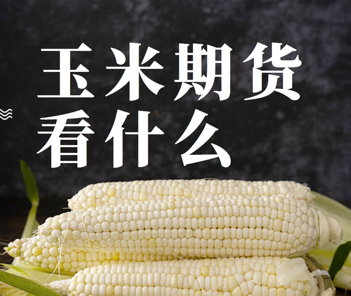3月4日收盘玉米期货资金流出5278.94万元