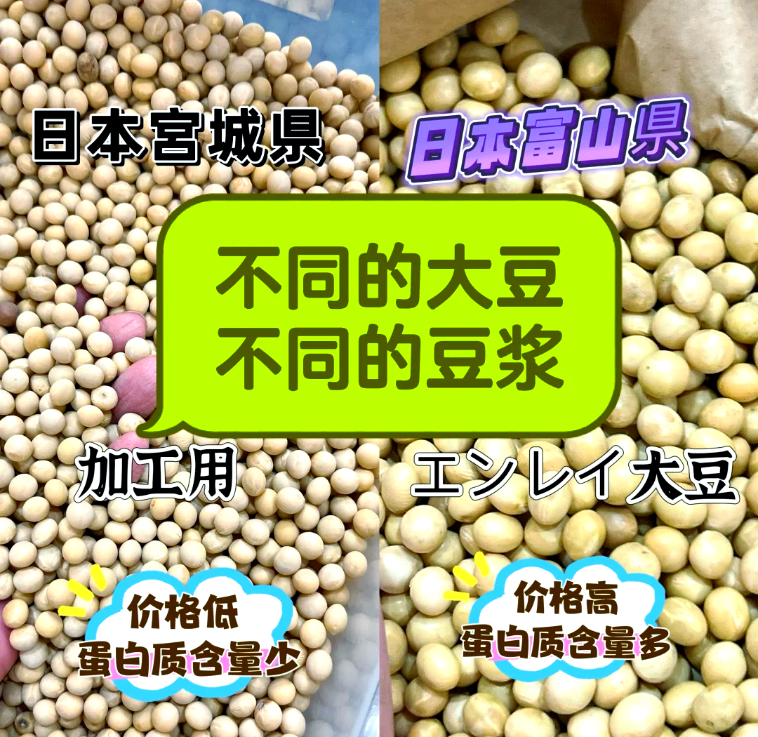 豆二盘面大幅贴水 南美大豆丰产是盘面承压主因