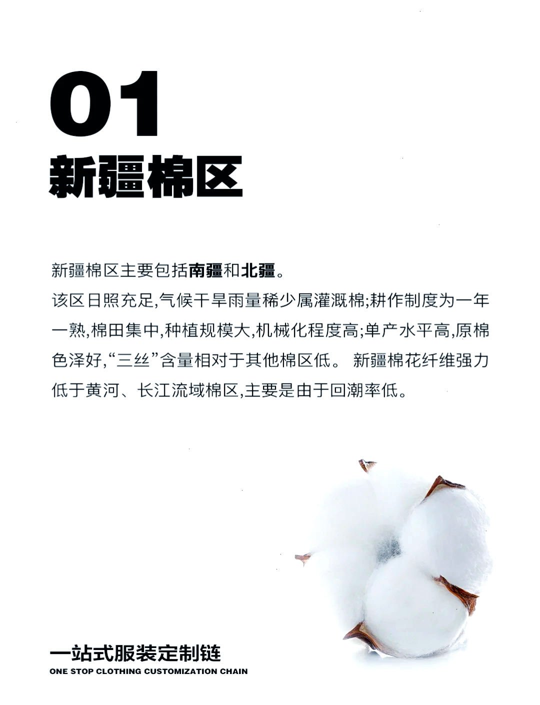 2025年3月5日今日现货棉花价格最新报价多少钱一吨