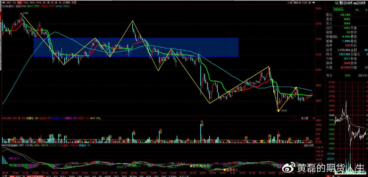 2025年3月7日现货白糖价格行情今日报价多少钱一吨