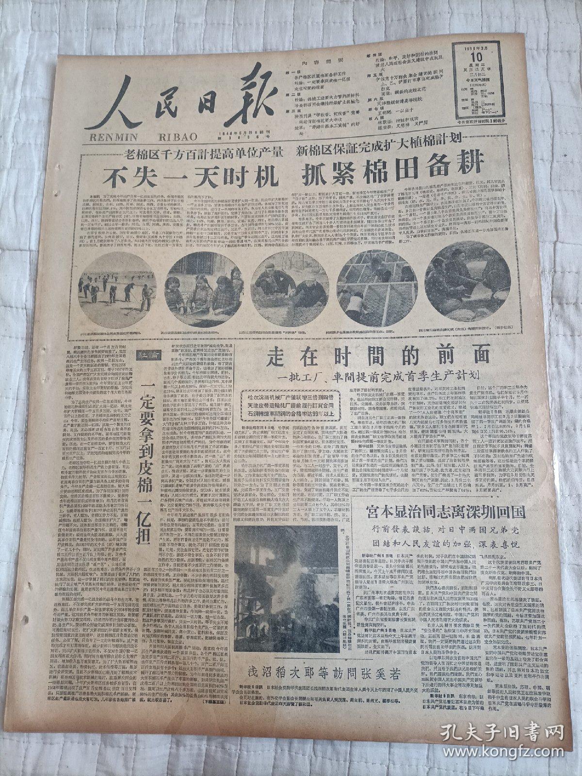 2025年3月10日今日现货棉花价格最新报价多少钱一吨