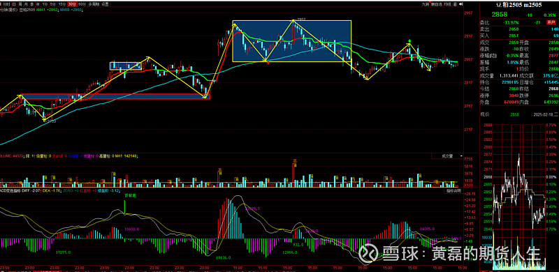 3月10日收盘棉纱期货资金流出203.74万元