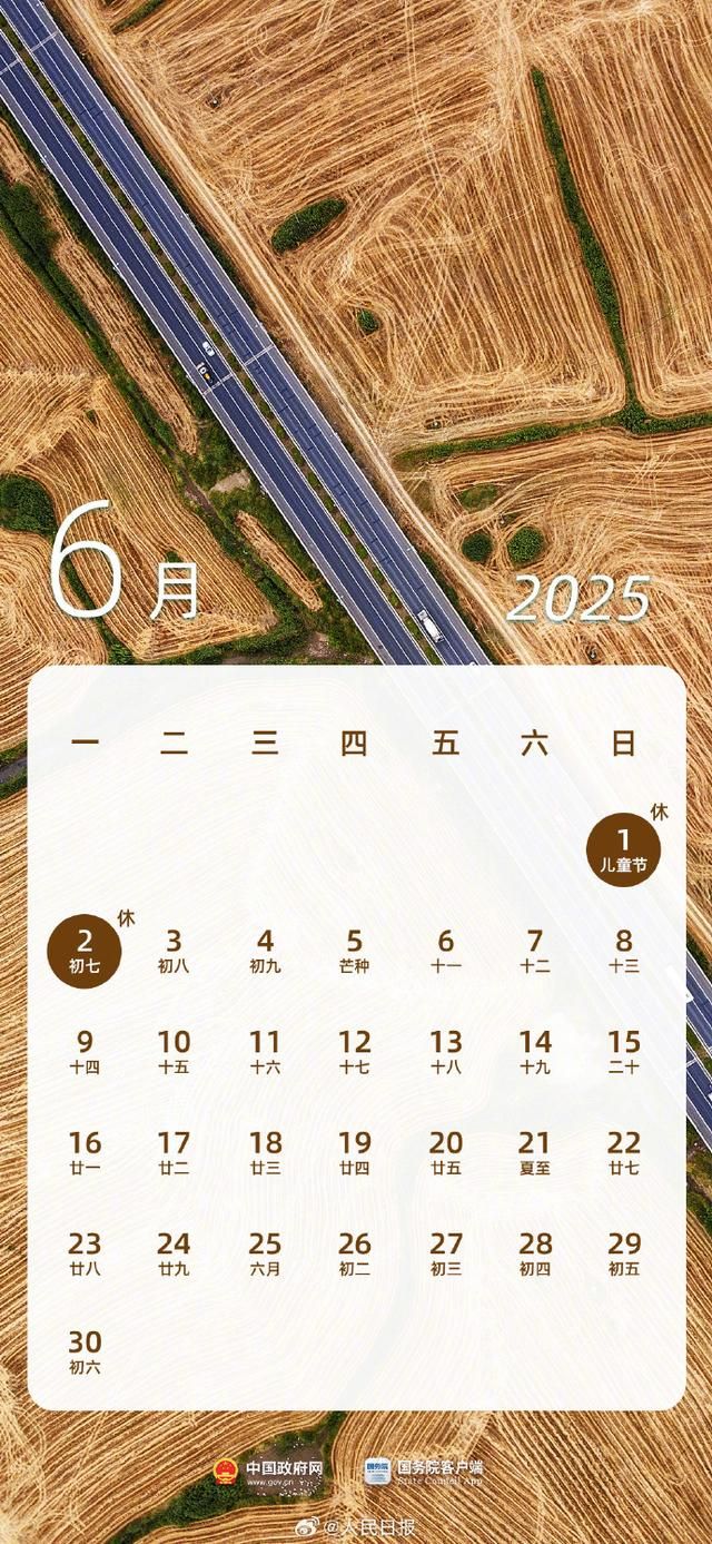 2025年3月11日今日现货棉花价格最新报价多少钱一吨