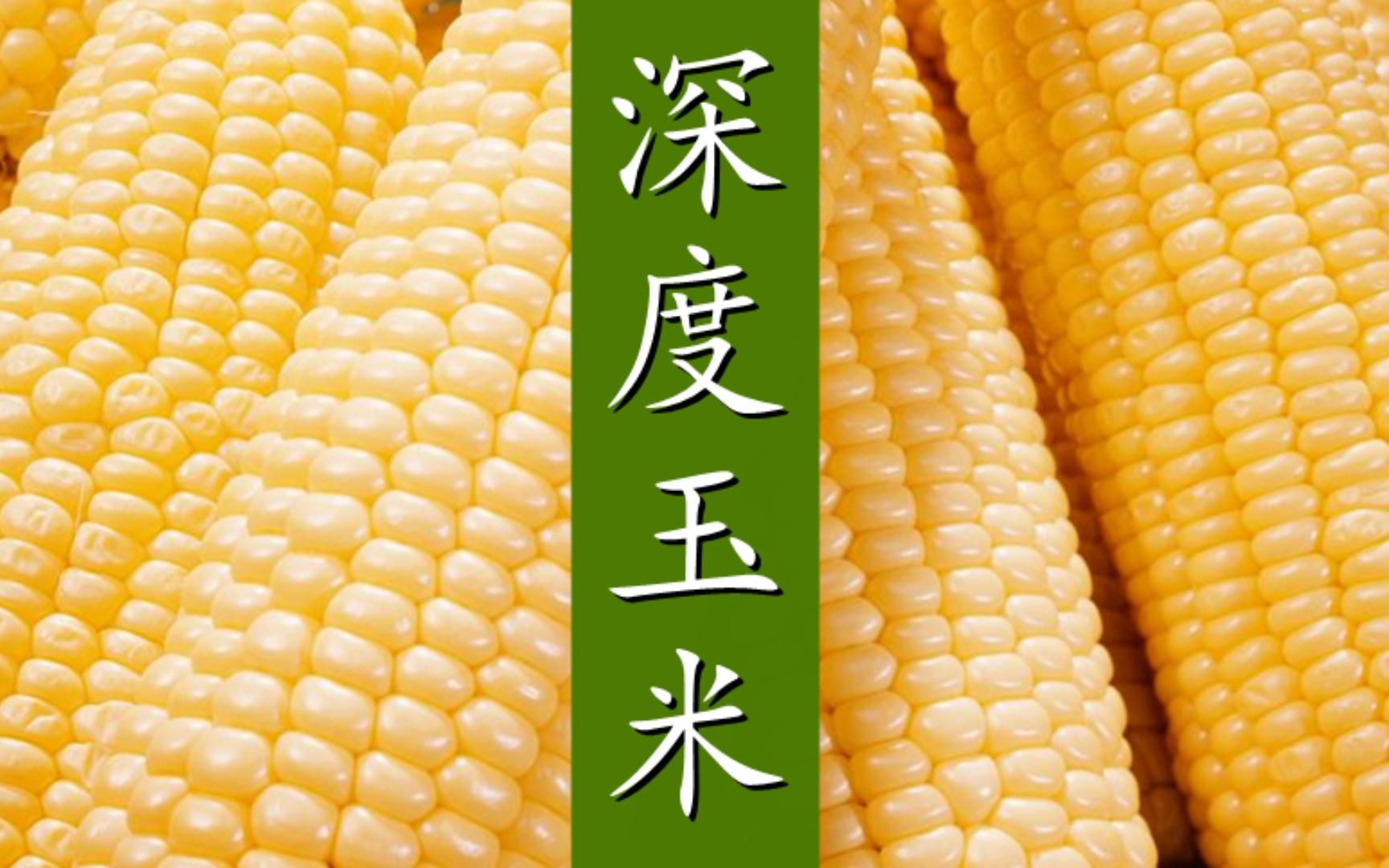 3月12日收盘玉米期货资金流出5033.88万元
