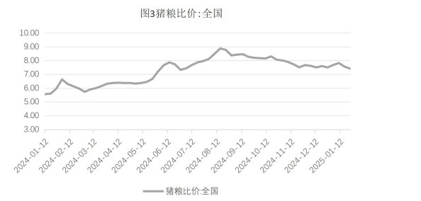 玉米：市场购销较为平稳 盘面维持震荡