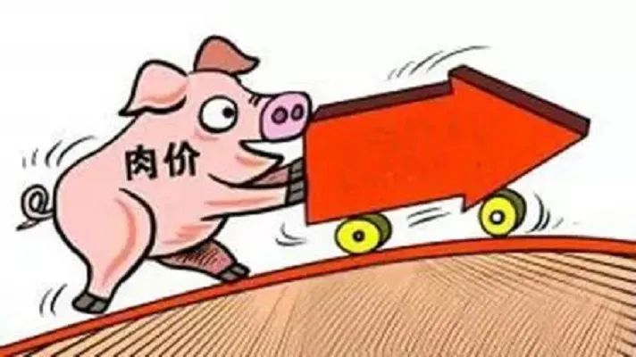 3月19日收盘白糖期货资金流入1227.18万元