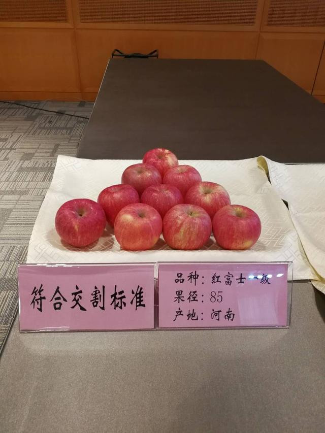 （2025年3月20日）今日苹果期货最新价格查询