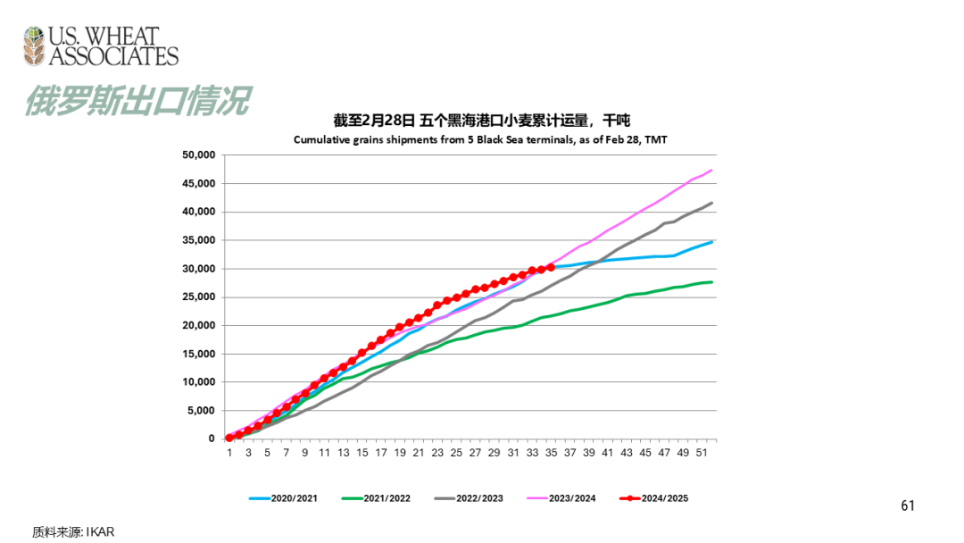 （2025年3月20日）今日小麦期货和美小麦价格行情查询