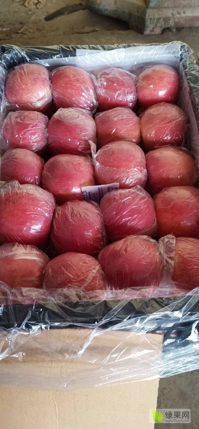 苹果期价涨幅超6% 客商正在为清明节备货