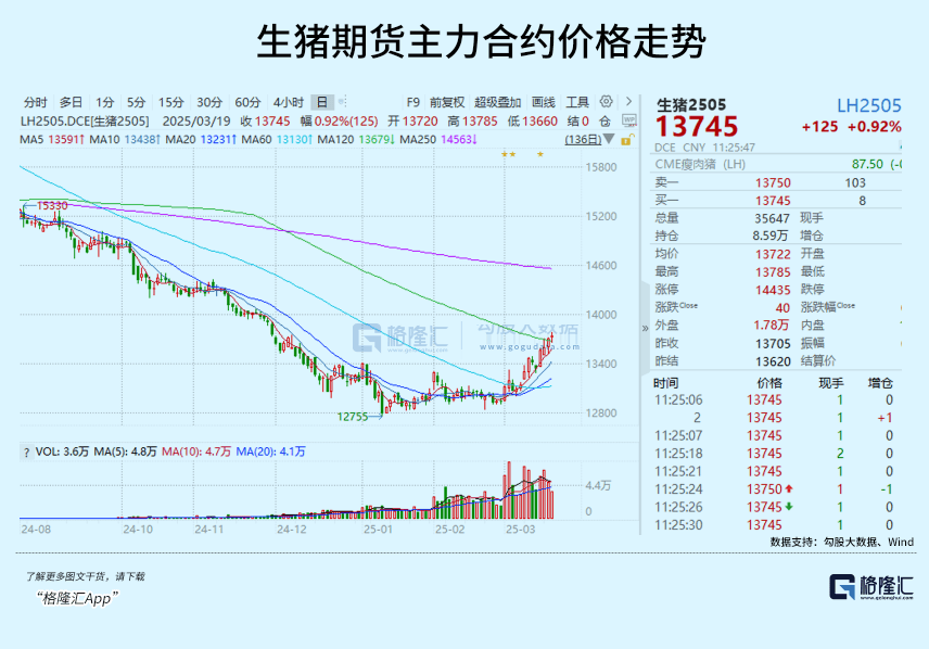 (2025年3月27日)今日生猪期货最新价格查询